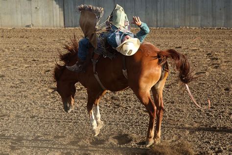 cowley wyoming rodeo