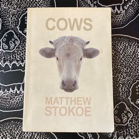 Review Of Cows Matthew Stokoe Sparknotes New