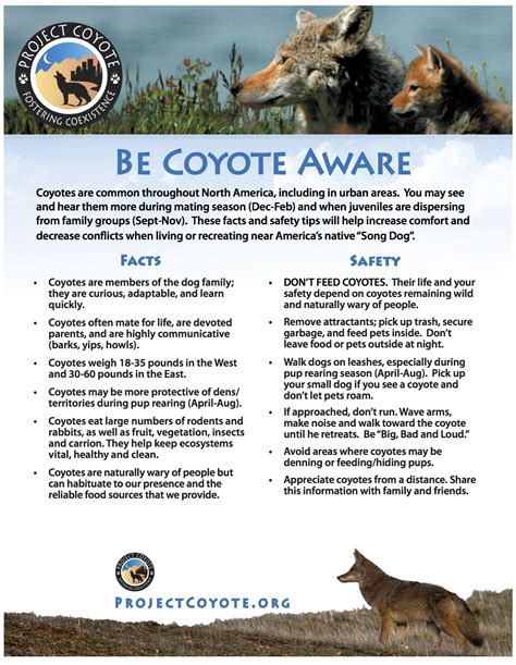 coyote animal danger prevention