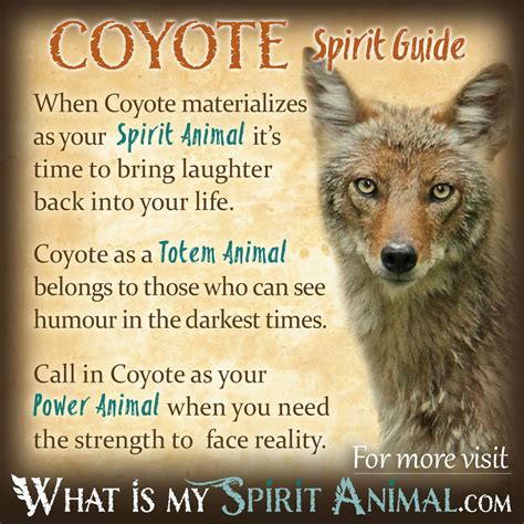 coyote animal spirit meaning