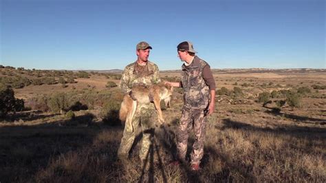 coyote hunting new mexico
