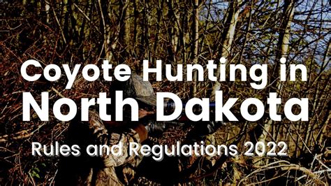 coyote hunting north dakota
