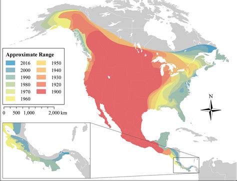 coyote population in nh