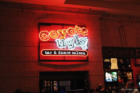 coyote ugly nyny las vegas