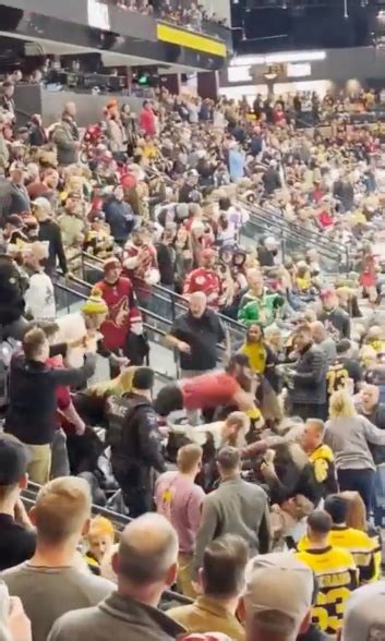 coyotes bruins fan fight