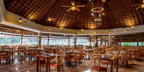 Unveil Divine Culinary Adventures in Cozumel: A Gastronomic Journey Awaits