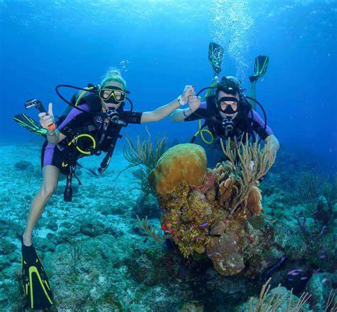 cozumel diving worth it