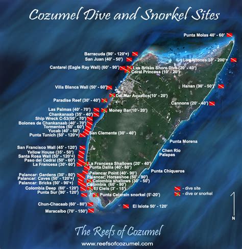 Cozumel Reef
