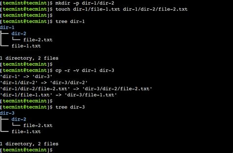 cp directory command in linux with examples