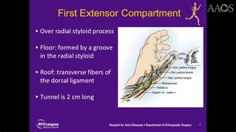Cpt Code For First Extensor Compartment Release