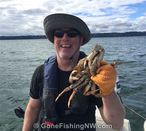 Crab Catch Video