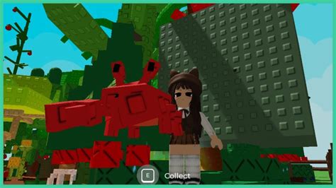 +26 Crab Garden Ideas