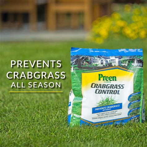 Crabgrass Cats