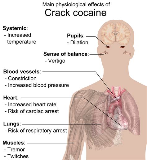 PPT Crack Cocaine PowerPoint Presentation, free download ID2844705