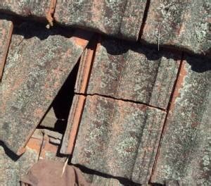cracked roof tiles