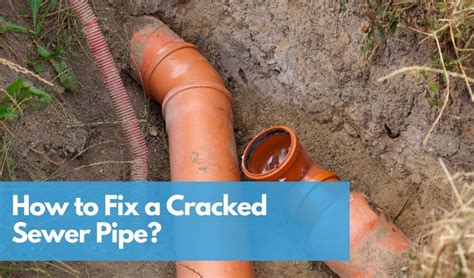 Cracked Sewer Line