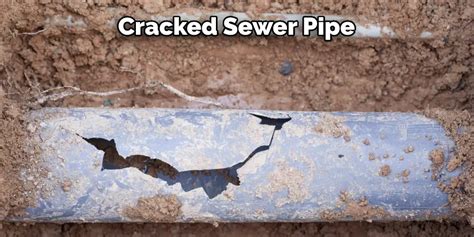 cracked sewer pipe
