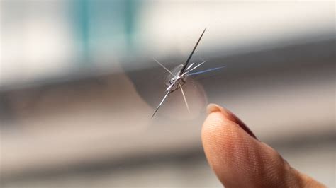 Cracked Windshield Repair Oakland