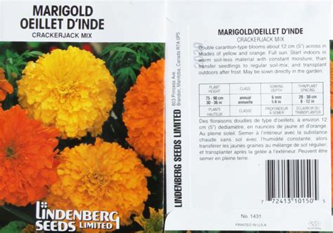 Crackerjack Marigold Spacing