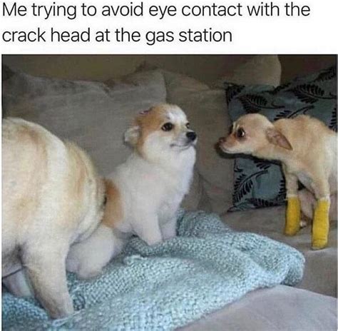 Search Crack Heads Memes on me.me