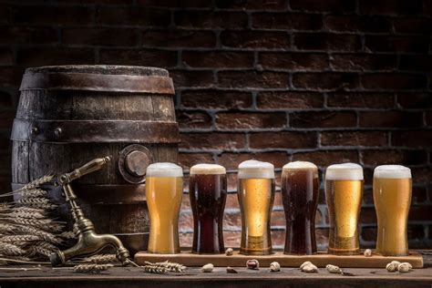 craft beer and brewing