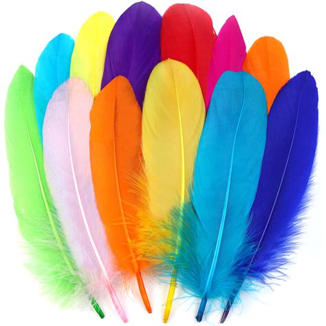 Craft Feathers Amazon