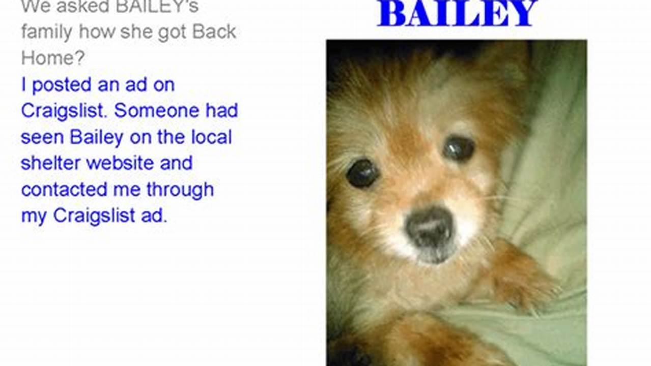 Discover the Secrets to Finding Your Perfect Pet on Craigslist Craigslist Pets