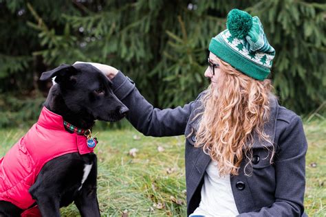 craigslist circleville ohio pets