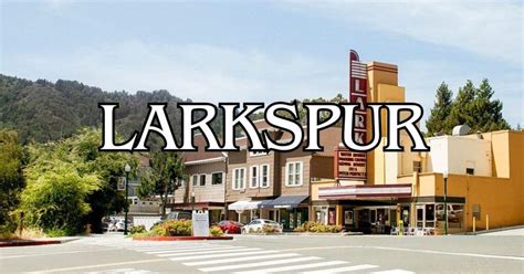 Craigslist Larkspur Ca