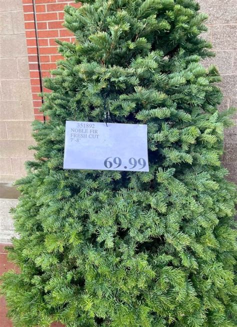 Happy New Year 2023 Luxury Large Big Artificial Christmas Tree Pe Pvc