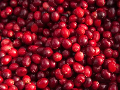 Cranberries Good For Your Kidneys