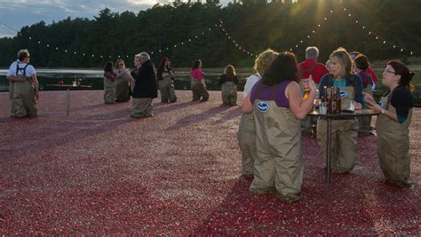 Cranberry Bog Dinner