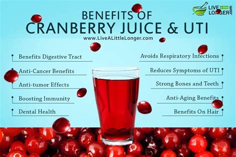 Can Cranberry for UTI Prevention Really Work?