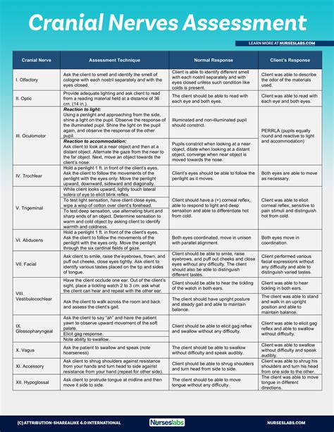Cranial Nerves Assessment Cheat Sheet