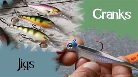 Crankbait Vs Jig