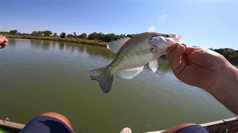 crappie fishing belton lake