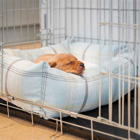 Crate Bed For Puppy