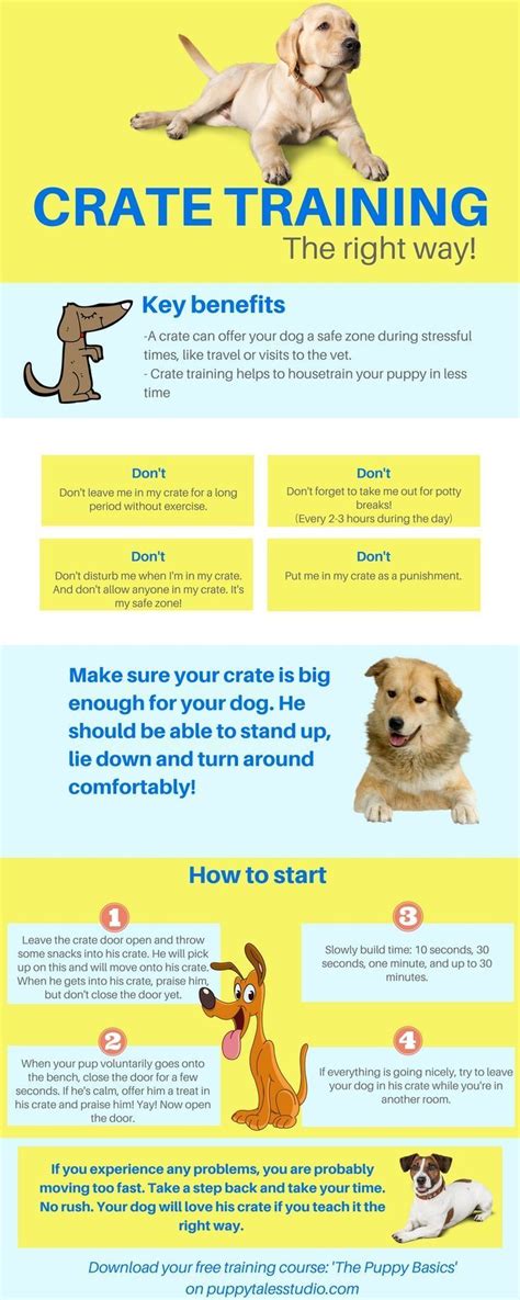 Crate Training A Puppy Tips