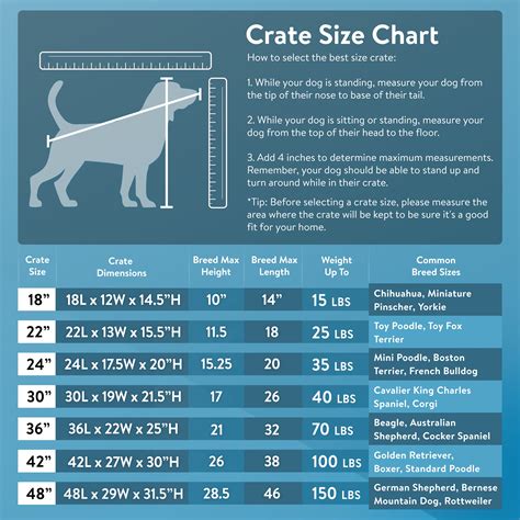 Crates For Dogs Sizes