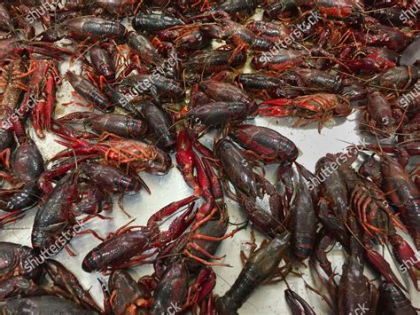 Crawfish Grocery Store