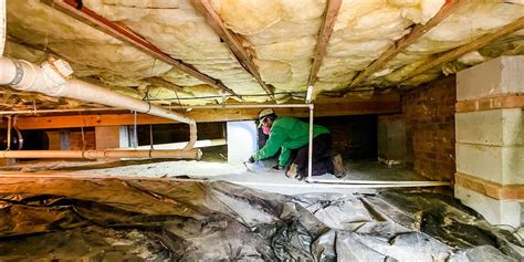crawl space damage examples