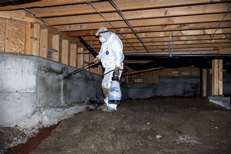 crawl space mold cleaning