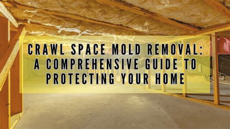 crawl space mold removal