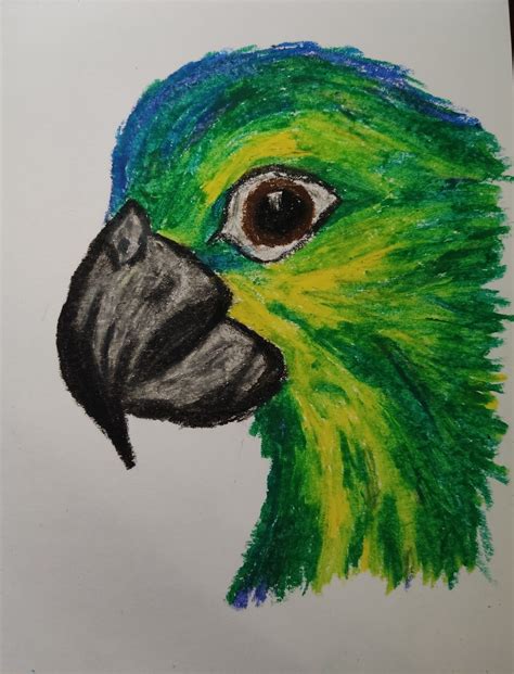 crayon drawing