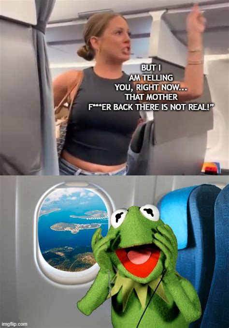 crazy airplane lady meme