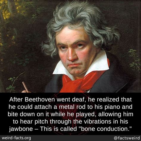 crazy facts about beethoven