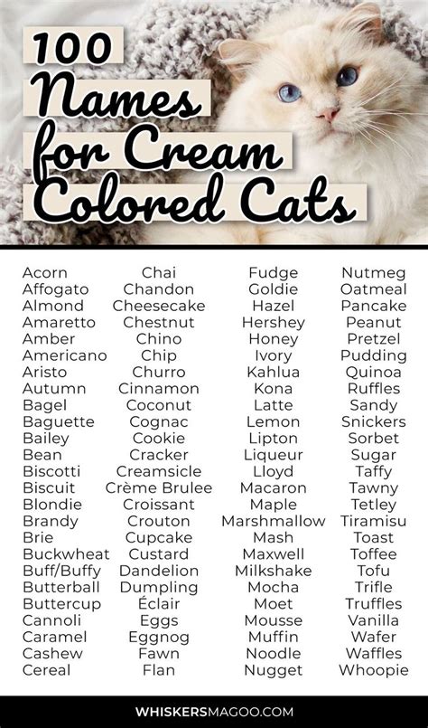 cream colored female cat names