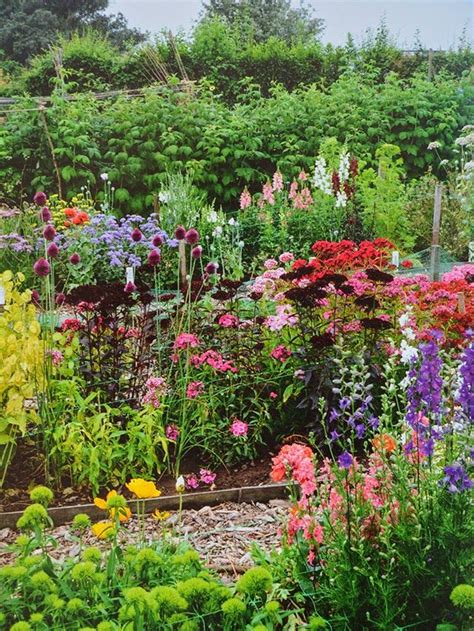 How to Start a Cut Flower Garden For Beginners