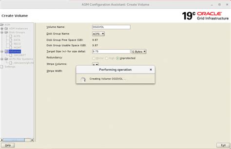 Create Acfs File System 19C