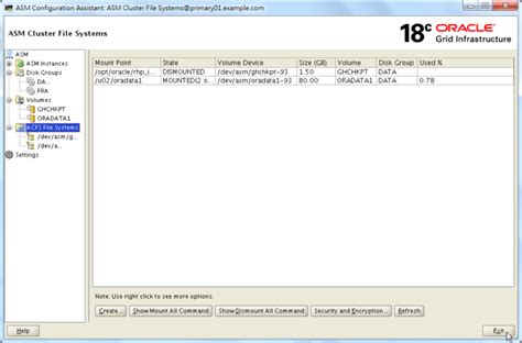 Create Acfs File System 19C Asmca
